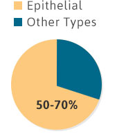 mesothelioma statistics and figures
