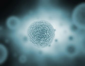 mesothelioma foundation canada asbestosis paintings