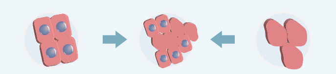 asbestos abatement regulation