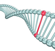 Mesothelioma Experimental Treatments