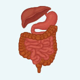 Peritoneal mesothelioma experts signs and symptoms of lung most cancers caused by asbestos