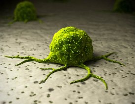 cancer cell tumor cancer cell tumor