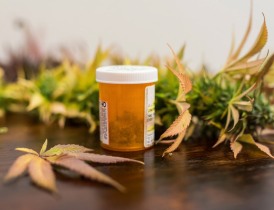 Medicine bottle filled with medical marijuana Medicine bottle filled with medical marijuana