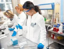 Researchers in lab Researchers in lab
