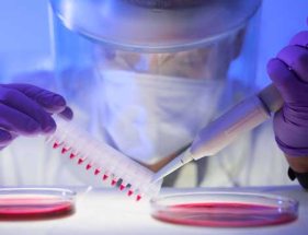 Researcher with petri dishes Researcher with petri dishes