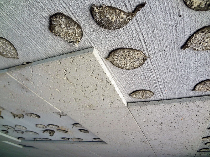 Construction Mastics Ning Mix History Dangers Lawsuits Construction Mastics Ning Mix, Acoustic Ceiling Tiles Asbestos