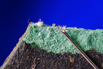 Close-up view of an asbestos-containing floor tile and a sewing needle eye, shown for scale comparison.