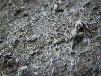 Weathered asbestos-cement siding material, showing close-up of exposed asbestos fibers eroding from cement matrix.