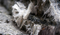 Asbestos chrysotile fibers