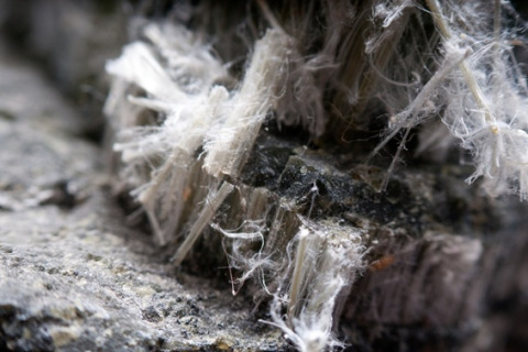 Asbestos chrysotile fibers