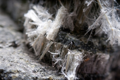 asbestos chrysotile fibers