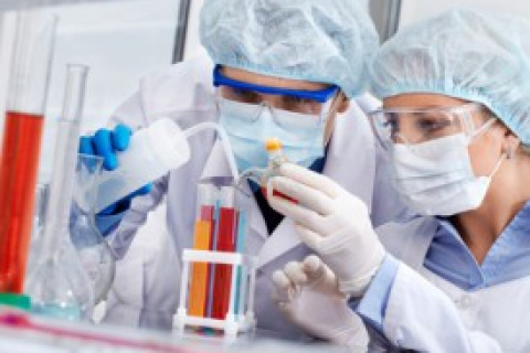 Researchers examining vials