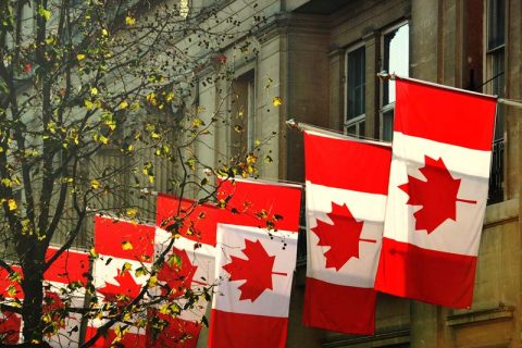 Canadian flags