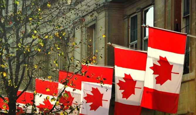 Canadian flags