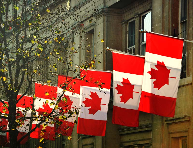 Canadian flags