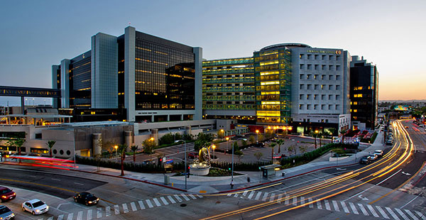 Mold - Los Angeles County Department of Public Health - Environmental Health