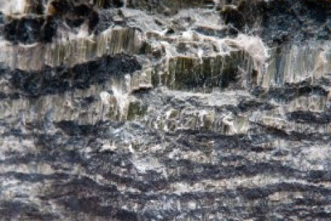 Sample of chrysotile asbestos