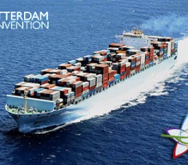 Rotterdam Convention Conference flier