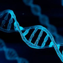 Blue chromosome DNA 3D illustration rendering