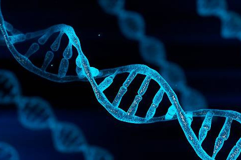 Blue chromosome DNA 3D illustration rendering