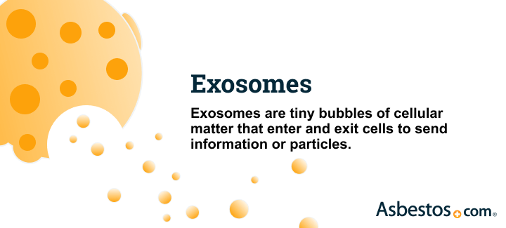 What are exosomes