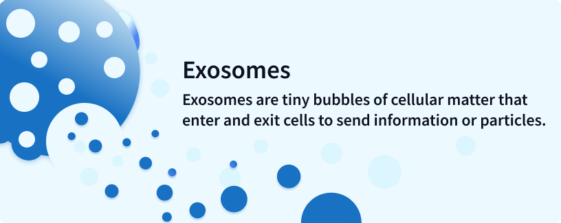 what are exosomes