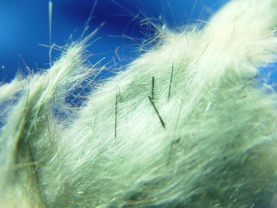 Light green, fibrous/acicular actinolite, variety byssolite. A rather unique, naturally occurring mineral.