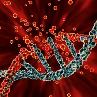 Colorful DNA ladder with broken strand