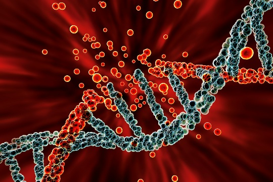 Colorful DNA ladder with broken strand