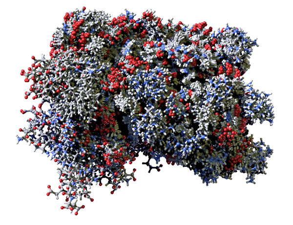 Red, blue and gray model of a human interferon molecule