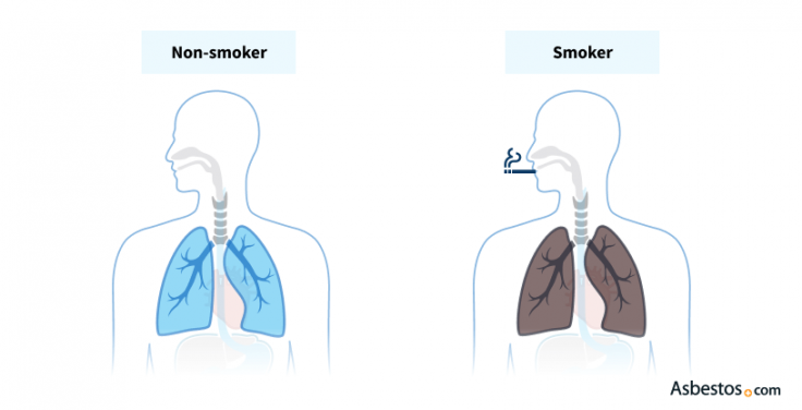 smoker and non smoker lungs comparison.