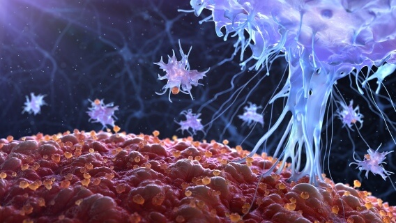 graphic of an Immune cell in action