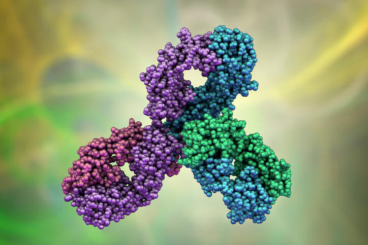 Molecular model of Pembrolizumab, a humanized antibody used in immunotherapy of cancer