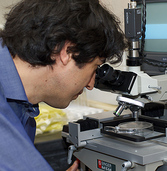 Valter Longo examines cancer cell results