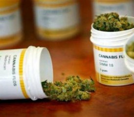 Medical marijuana in a prescription pill bottle