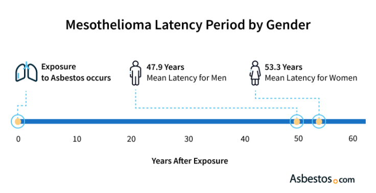 Timeline displaying mesothelioma latency period for men and women following asbestos exposure.
