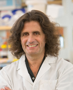 Dr. Michele Carbone, medical oncologist
