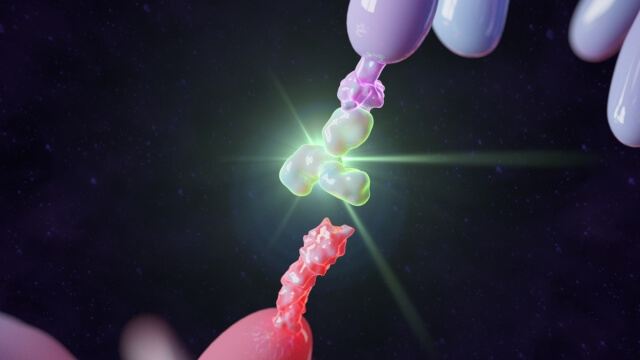 PD-1 Antibody Simulation Graphic