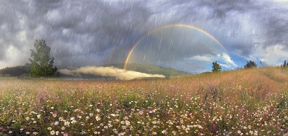 panorama of mountain meadows with rainbow