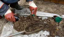 Gloved person with soil samples on tarp