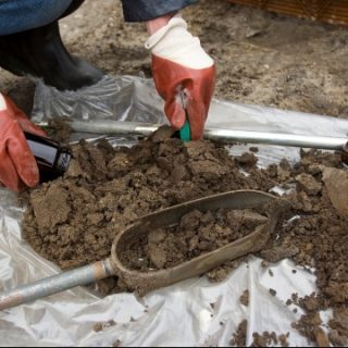 Gloved person with soil samples on tarp