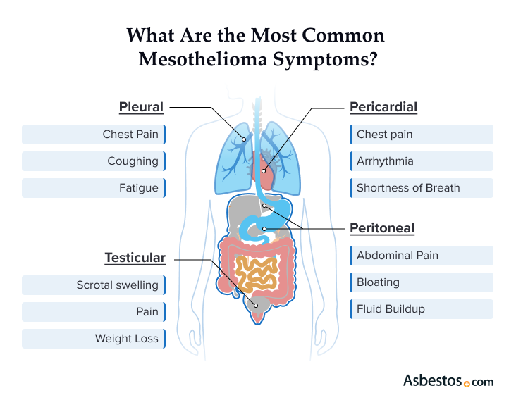 Common symptoms based on mesothelioma type