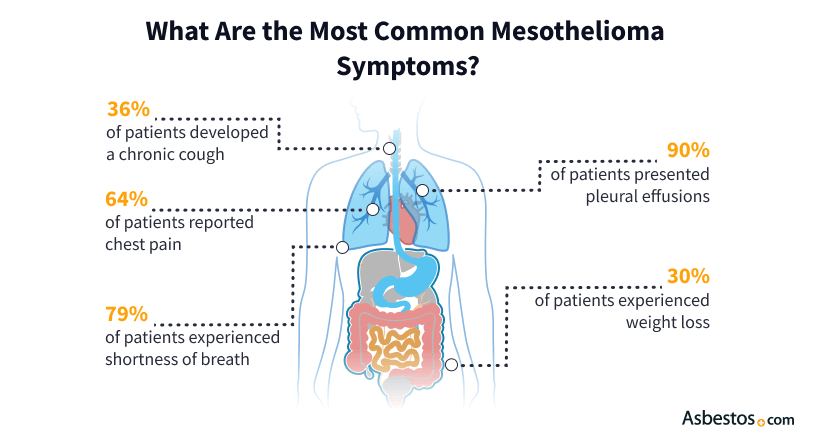 https://www.asbestos.com/wp-content/uploads/Symptoms-Meso-schema.png