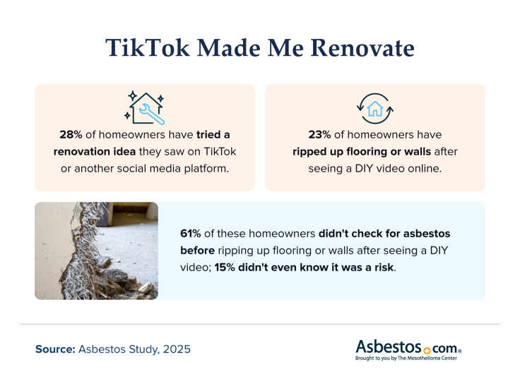 TikTok-Made-Me-Renovate