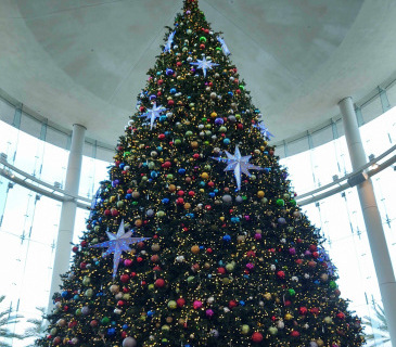 Holiday Tree