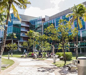 University of Hawaii Cancer Center