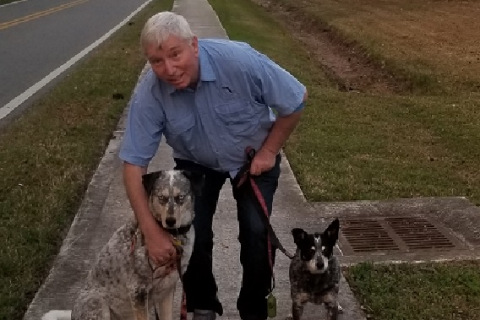 Kevin Hession walking his dogs