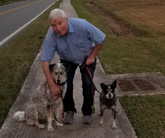 Kevin Hession walking his dogs