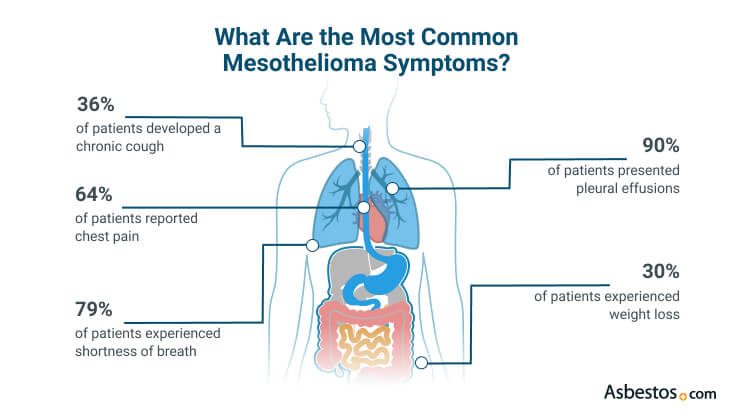 breast cancer metastasis to brain survival rate