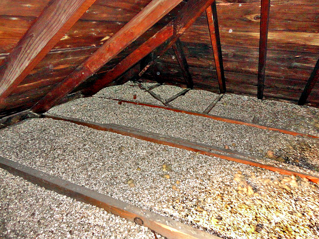 Zonolite insulation in an attic